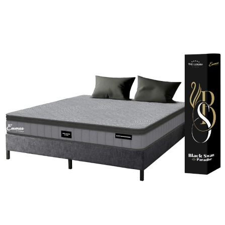 ที่นอนยางพารา 3.5 ฟุต EMMAS BLACK SWAN PARADISE มาพร้อมกับฐานเตียง 3.5 ฟุต NOOZ PIXEL BED FRAME (ไม่มีหัวเตียง)_0